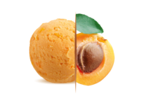 Parfumglacecdo0032abricot 215x147png — Ice cream ultimate option 7