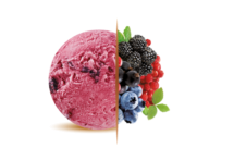 Parfumglacecdo0037fruits Des Bois 215x147png — Ice cream ultimate option 12