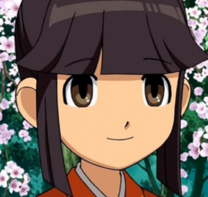 8b03c3fa B8e7 40d1 B86d F4fad8ec2623jpeg — Inazuma Eleven ALL Main Characters option 142