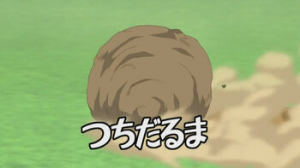 Tsuchidaruma5jpg — Inazuma Eleven Hissatsu's (season 1) option 61