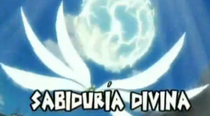 Sabiduri Divinapng — Inazuma Eleven supertecnicas temporada 1 option 49