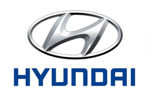 Hmil Logo Largejpg — indian car brands option 13