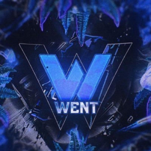 Zz1590724308went Logojpg — Instagram Community Teams option 33