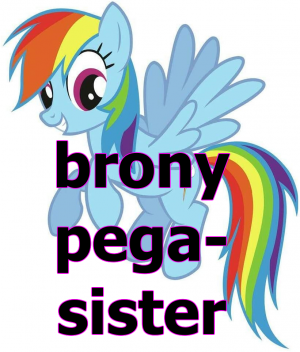 Bronypegasisterpng — Internet Subcultures option 1