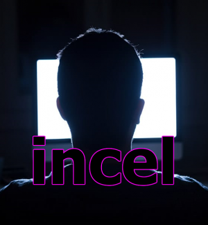 Incel Subculturepng — Internet Subcultures option 9