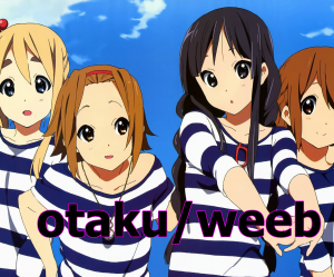 Otaku Weeb Subculturepng — Internet Subcultures option 11