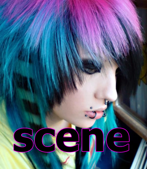 Scene Subculturepng — Internet Subcultures option 13