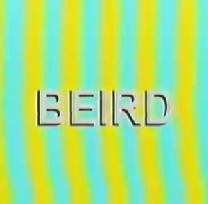 Beirdpng — jack stauber's songs option 4