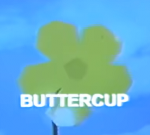 Buttercuppng — jack stauber's songs option 6