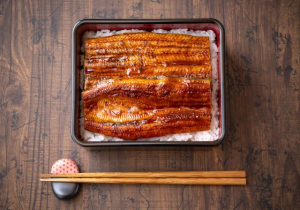 Unagijpg — Japanese Food/Drink/Dessert Tier List option 30