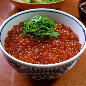 Ikuradonjpg — Japanese Food except sushi option 7