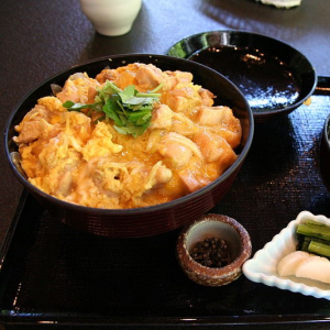 Oyakodonjpg — Japanese Food except sushi option 19