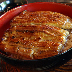Unadonjpg — Japanese Food except sushi option 31