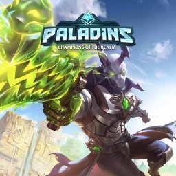 Paladinsjpg — Jeux vidéos option 31