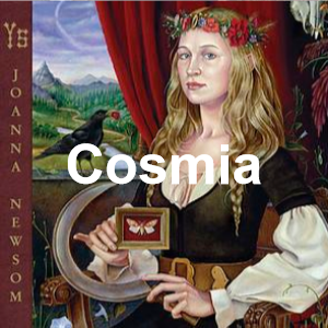 Image 41png — Joanna Newsom Song Tier List option 28