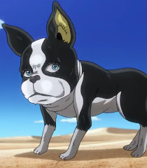 Iggy Jojos Bizarre Adventure Stardust Crusaders 57jpg — Jojo Characters Sorted into Hogwarts Houses option 46