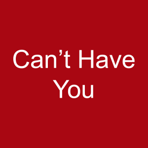 21jpg — Jonas Brothers Songs Ranked option 13