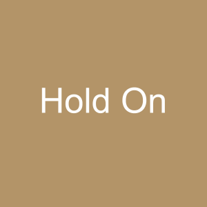 2jpg — Jonas Brothers Songs Ranked option 22