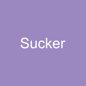 42jpg — Jonas Brothers Songs Ranked option 36