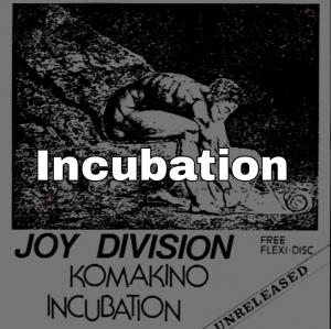 Picsart22 01 0620 33 48 052jpg — Joy Division Songs (1978-1987) option 24