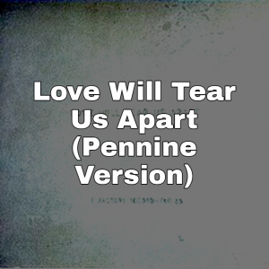 Picsart22 01 0620 35 30 180jpg — Joy Division Songs (1978-1987) option 28