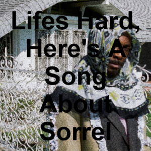 09 12png — jpegmafia songs option 3
