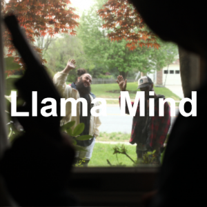 T2a 12png — jpegmafia songs option 226