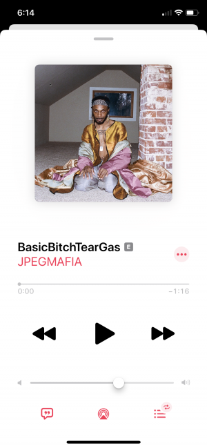 Img1616png — JPEGMAFIA songs option 53