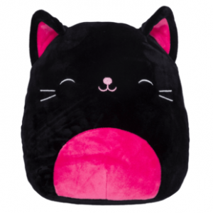 Catcatarinapng — judging squishmallows option 35