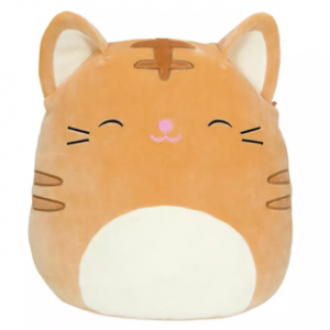 Catnathanpng — judging squishmallows option 46