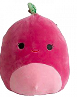Fruitcherrypng — judging squishmallows option 130
