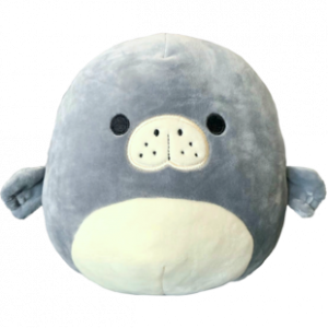 Manateemattpng — judging squishmallows option 198