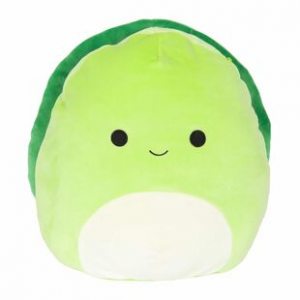 Turtlehenryjpg — judging squishmallows option 260