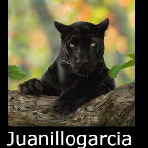 Zz1619541075juanillogarciajpg — JUGADORES VFO FIFA21 option 96