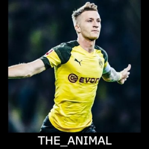 Zz1619541078theanimaljpg — JUGADORES VFO FIFA21 option 163