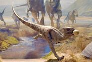 Dracorex1jpg — Jurassic Park dinosaurs option 15