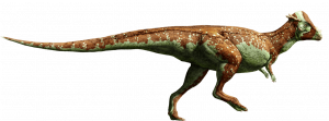 Pachycephalosaurus Detail Headerpng — Jurassic Park dinosaurs option 32