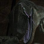Scarred Raptor Leader Jptg8jpg — Jurassic Park/World characters option 58