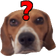 Wutpng — Kaceytron Emotes option 38
