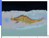 Screenshot 2021 07 29 42731 Pmpng — Kaiju Universe (for roblox) (PVP ranking) option 13