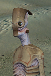 Hiveworkerdronepng — Kenshi race tierlist option 4