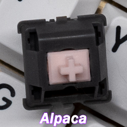 Alpacajpg — Keyboard Switches option 2