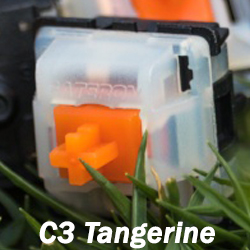 Tangerinev1jpg — Keyboard Switches option 73