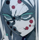 Motherspiderdemonanimeprofilepng — Kimetsu no Yaiba Characters option 32