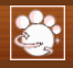 Pawpng — King Legacy Tier List Fruits option 23