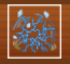 Quakepng — King Legacy Tier List Fruits option 26