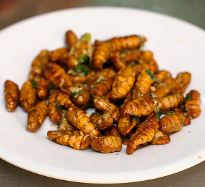 Silkworm Pupaejpg — Korean Side Dishes option 32