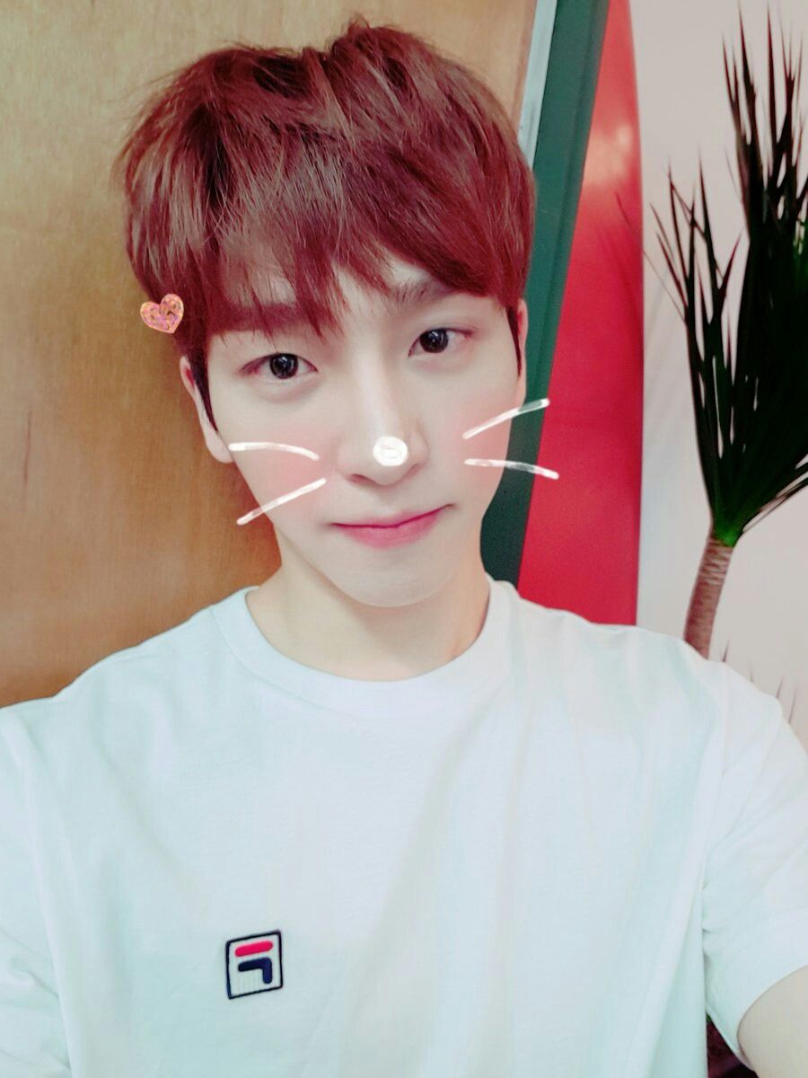 C01d884af727367eb61a44469e96e487jpg — kpop boys ik option 45