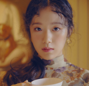 Zz156653284981dea5664088bece68c4317eb98c4398png — K-Pop Female Vocalist option 57