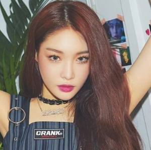 Zz1566534090e27f8fc50ef0ba4caba987cd09aa81b7png — K-Pop Female Vocalist option 79